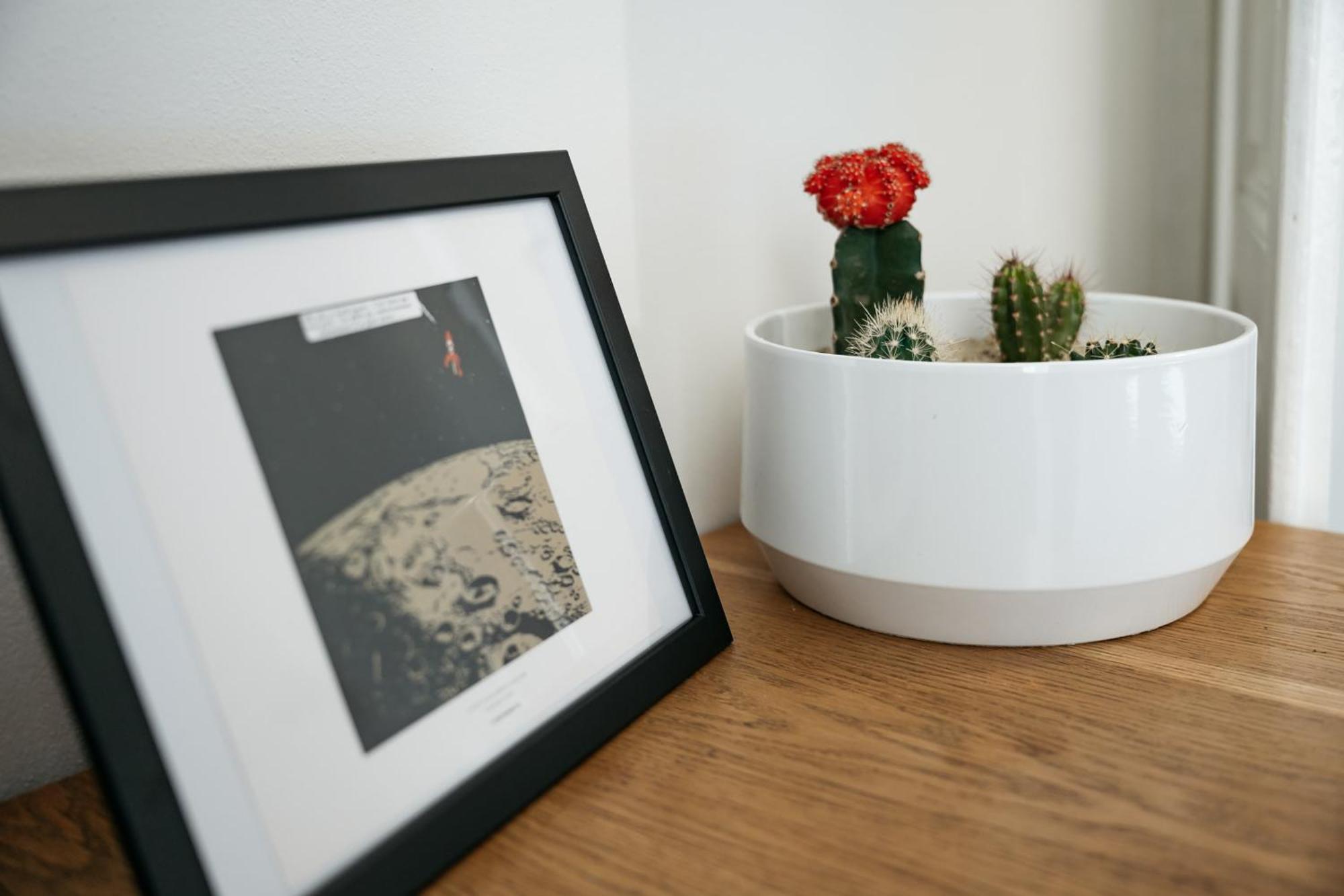 Comfortable And Cosy Apt A Few Steps From Dancing House And Naplavka Dance Praga Exterior foto